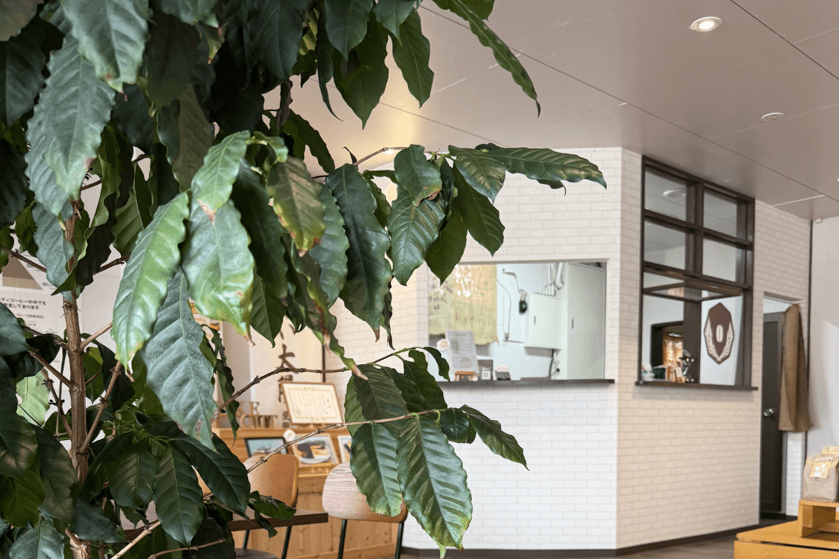 バリスタとパティシエがいるお店